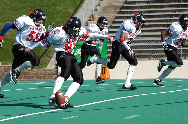 真变更