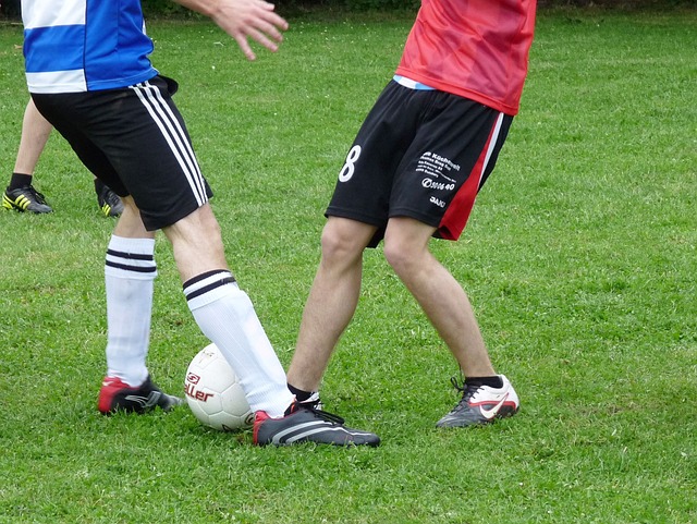 意足协主席：为世界杯附加赛推迟或暂停意甲并非可行选项