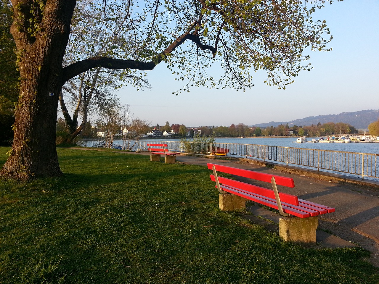 女排世锦赛小组赛第2战！中国女排3-1哥伦比亚女排，提前晋级16强