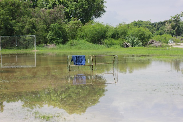 关键球员与 关键球员与